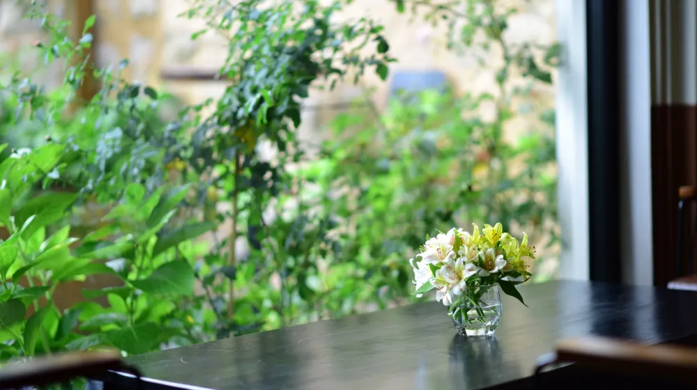 Flor blanca en una mesa tranquila