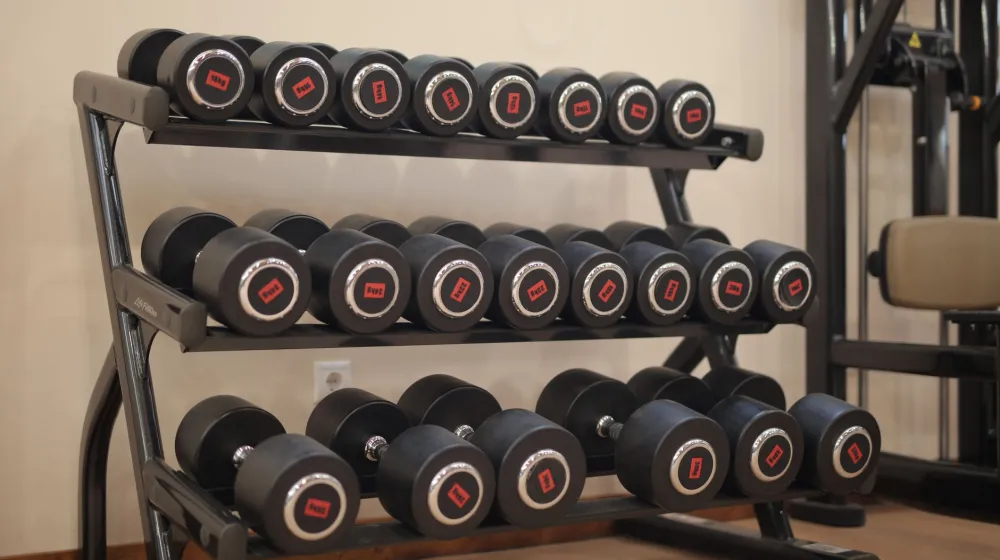Zona de pesas en un gimnasio